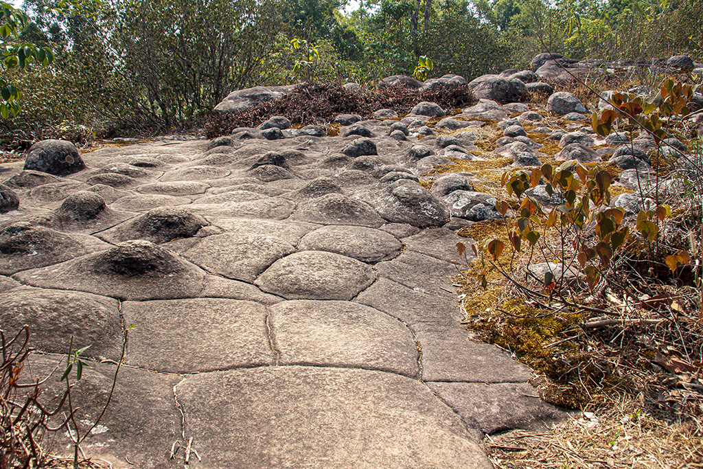 Phu Hin Rong Kla